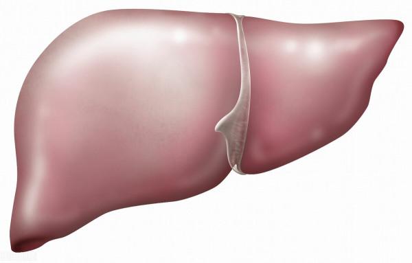 一家三口被確診肝病,醫生勸告:這種日常生活用品,最好勤換 一家三口被確診肝病,醫生勸告:這種日常生活用品,最好勤換