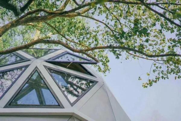 你要帶我去住蘑菇屋 你要帶我去住蘑菇屋