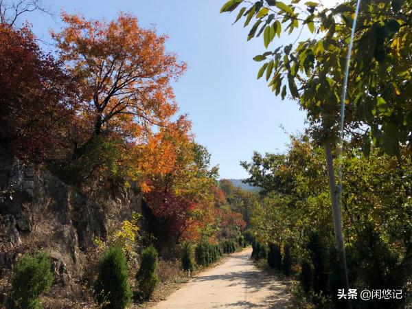 本想獨擁一山紅葉,無意中卻發現汝州大峪火石溝一處山水秘境 本想獨擁一山紅葉,無意中卻發現汝州大峪火石溝一處山水秘境