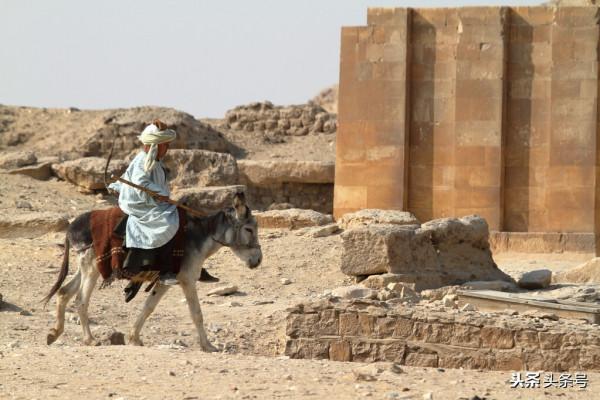 古代詩人為何都喜歡騎毛驢 古代詩人為何都喜歡騎毛驢