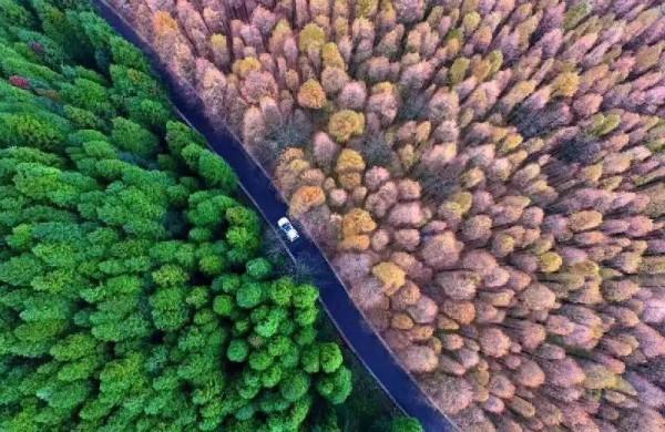 美！外國人眼裡最羨慕的中國美景，你都去過嗎？