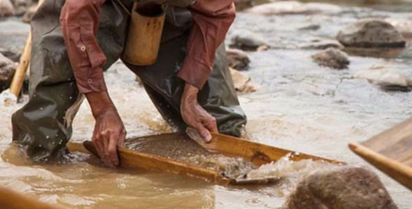 外國農民兄弟挖出金疙瘩，不僅自己成了土豪，還吸引大批人來淘金