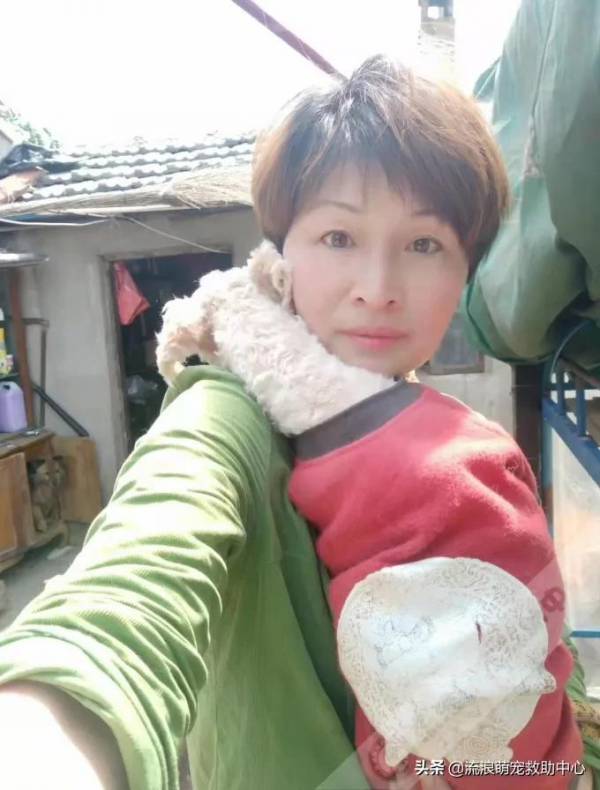 小狗被項圈緊緊箍住,脖子皮肉潰爛血肉模糊,看一眼就渾身起疙瘩 小狗被項圈緊緊箍住,脖子皮肉潰爛血肉模糊,看一眼就渾身起疙瘩