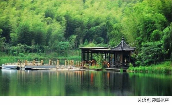 “快棋的神仙”顯威 大竹英雄為日本達成亞洲電視快棋賽六連冠