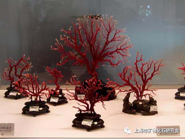 周梅教授：漫話方解石