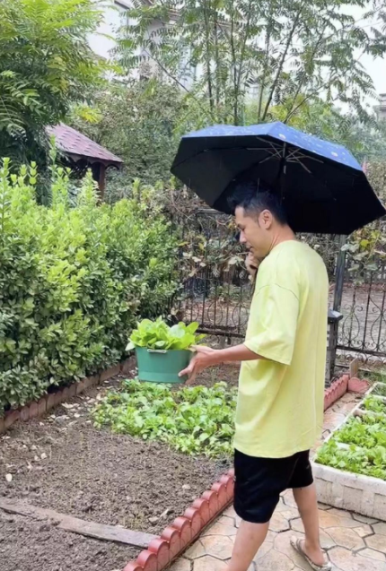 扒7個哥哥的房子，張智霖租別墅住，趙文卓家有健身房，張晉家小