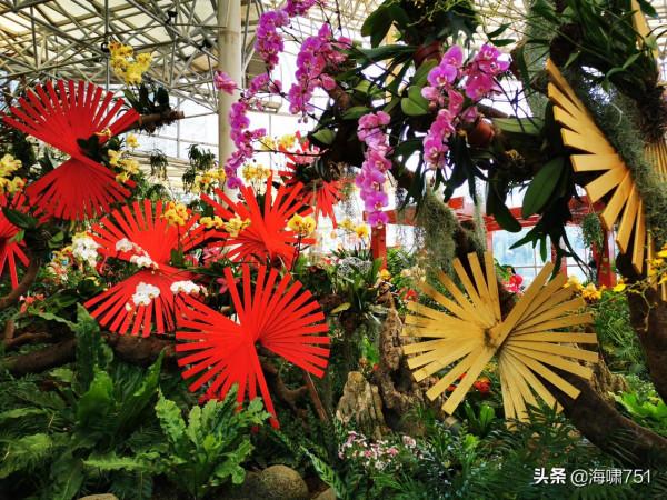 雲臺花園花的海洋