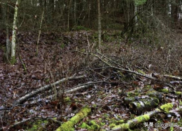 優秀狙擊手的偽裝術有多強？5張圖中能找出3個算你厲害