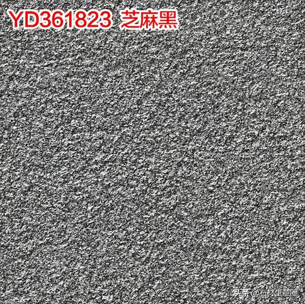 生態地鋪石欣賞