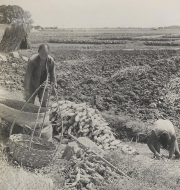 華野一政委借宿農家,卻被三個農民謀財害命,粟裕親令:血債血償 華野一政委借宿農家,卻被三個農民謀財害命,粟裕親令:血債血償