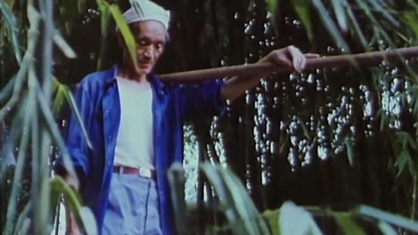 四川老兵回鄉隱居，30多年後兒子指著報紙道：爹，上面在找你