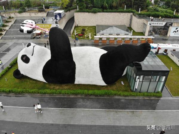 “大黃鴨之父”在中國建了座全球最重大熊貓雕塑:130噸重26米長 “大黃鴨之父”在中國建了座全球最重大熊貓雕塑:130噸重26米長