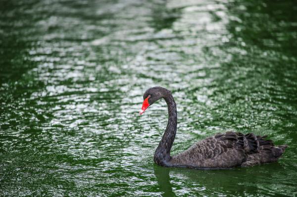 什麼是格律詩的“三仄尾”和“三平尾”，兩者都一定要避免嗎？