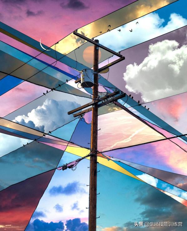 你見過躲雨的火烈鳥嗎？30張趣圖讓你大開眼界