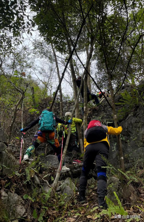 原始叢林、天坑、天生橋、溶洞，新的貝爾版茂蘭穿越線路確實經典