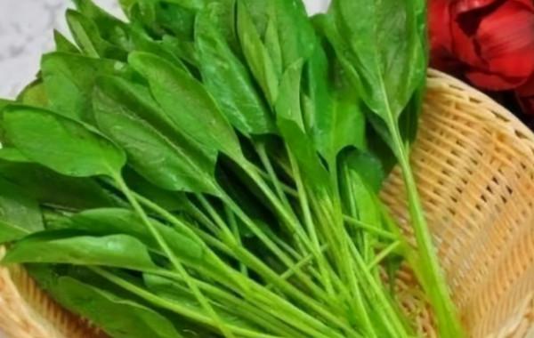 “易胖體質”不是天生的?若少做這些事,或可以慢慢養成易瘦體質 “易胖體質”不是天生的?若少做這些事,或可以慢慢養成易瘦體質