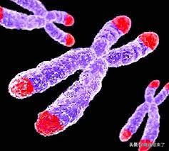 人類是否可以永生？實現永生的幾種方式