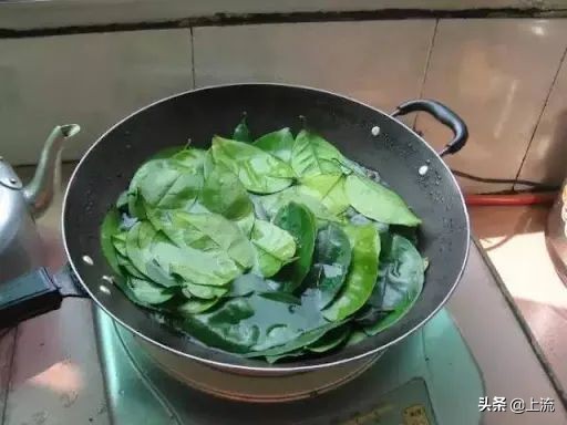 柚子葉洗澡，如何成為廣東人的轉運密碼？