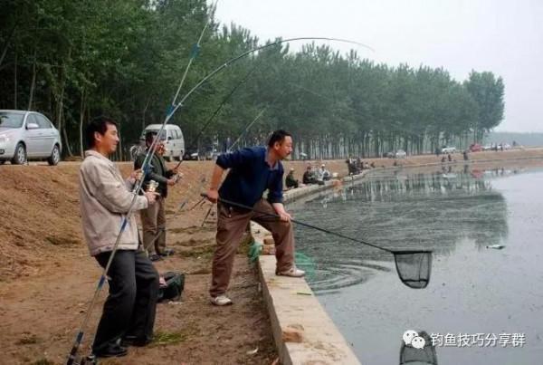 秋分後沒魚?是你不會釣!看完這“藏魚四圖”從此告別空軍行列 秋分後沒魚?是你不會釣!看完這“藏魚四圖”從此告別空軍行列