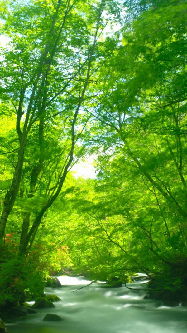 經典語錄之名人名言 經典語錄之名人名言