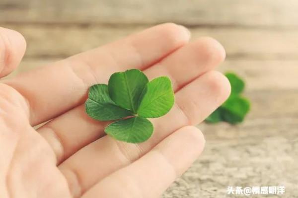 你知道人的好運是怎麼來的嗎？