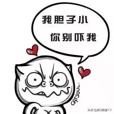 十科聯手 晝夜守護 兩條性命得保全