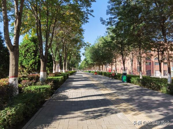 漢EV自駕新疆伊犁,夜市的伊寧絲路之光旅遊小鎮,美食的天堂 漢EV自駕新疆伊犁,夜市的伊寧絲路之光旅遊小鎮,美食的天堂