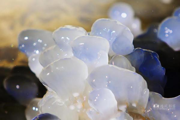 冬至：堆晶砌玉泉上凌