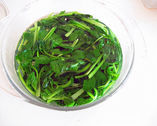 素餡水煎包 素餡水煎包