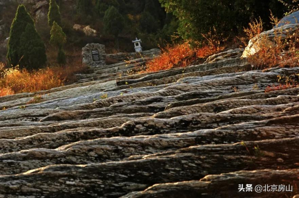 秋意濃,房山紅 !千年遺蹟、稻田荷花…第4波秋景等你去賞閱! 秋意濃,房山紅 !千年遺蹟、稻田荷花…第4波秋景等你去賞閱!