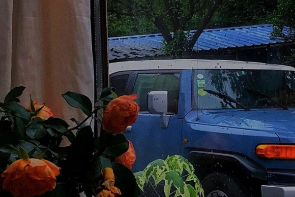 明爭暗鬥全都擅長的星座，情商智商都線上，很少出手但實力非凡