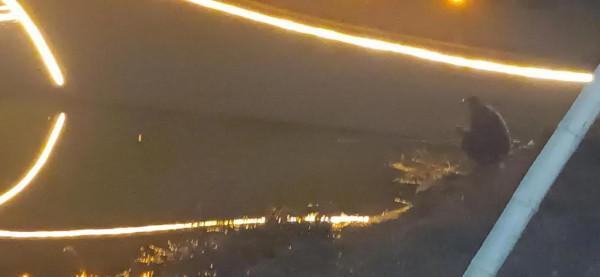 晚肥義公園散步