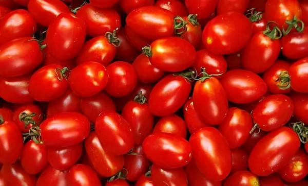 天天學常識(五) 天天學常識(五)