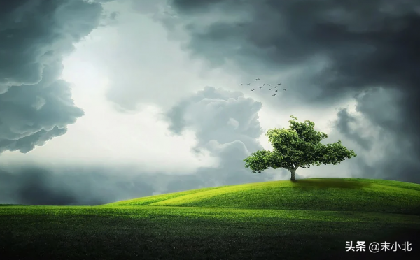 細節見人品，小事見真心