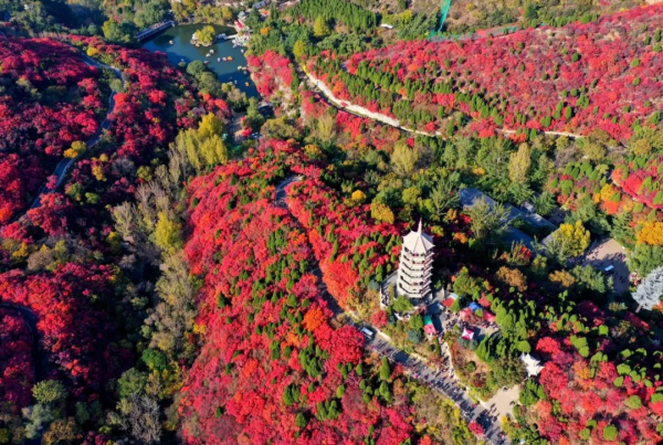 人間朝暮 紅葉是秋