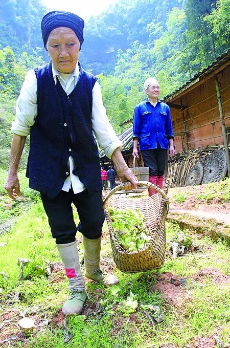 19歲小夥與29歲寡婦私奔,深山避世50年,為愛鑿出6208級愛情天梯 19歲小夥與29歲寡婦私奔,深山避世50年,為愛鑿出6208級愛情天梯