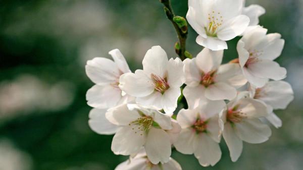 9月22日-26日星座運勢：雙子座有條不紊，水瓶座積極主動