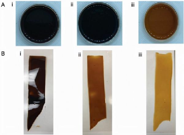 有機矽彈性體具有過氧化物酶樣反應性的摻雜血紅素和離子交聯
