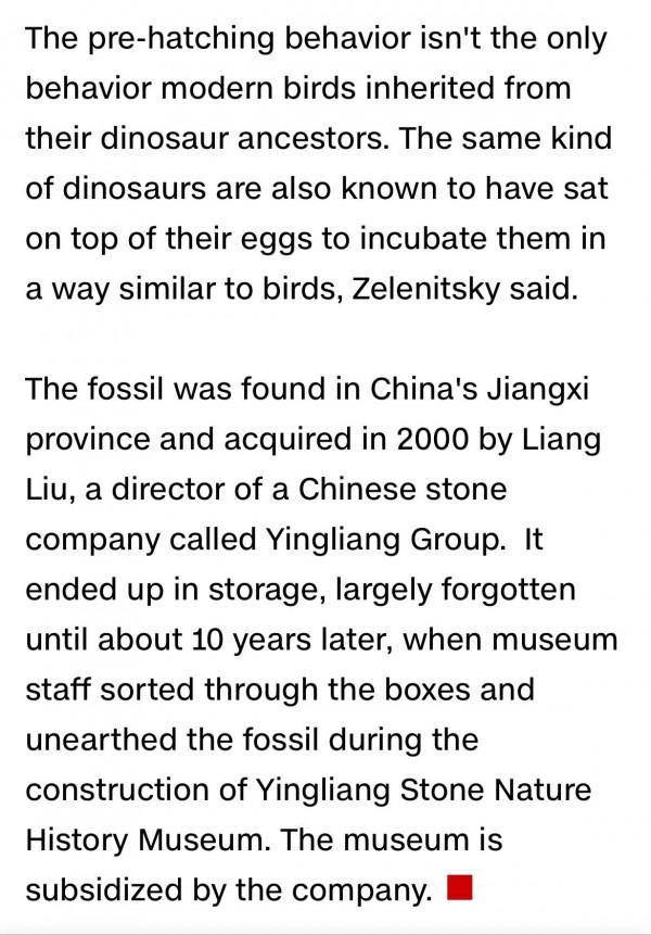 讀CNN學英語：恐龍胚胎化石