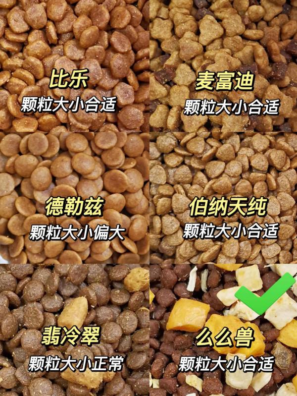 選狗糧其實就這兩點，新手養狗都知道