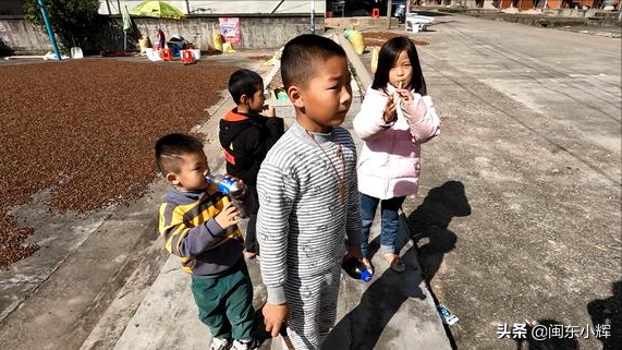 福建農村發現鴨子墓,傳說引起各大家族相爭,到底怎麼回事 福建農村發現鴨子墓,傳說引起各大家族相爭,到底怎麼回事