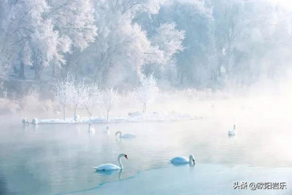 冬天去新疆的9個理由,總有一個讓你瘋狂打call,流連忘返 冬天去新疆的9個理由,總有一個讓你瘋狂打call,流連忘返