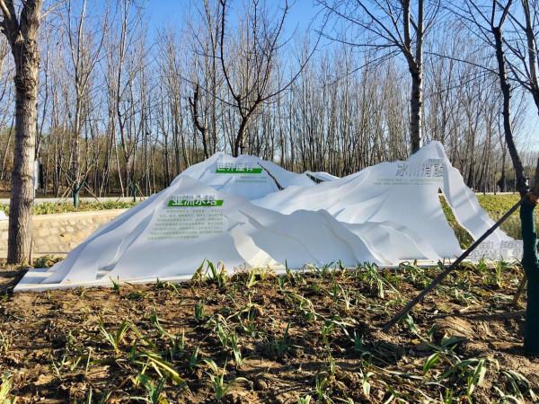 北京溫榆河公園·未來智谷,將環境藝術與科技相融合,詮釋碳中和 北京溫榆河公園·未來智谷,將環境藝術與科技相融合,詮釋碳中和