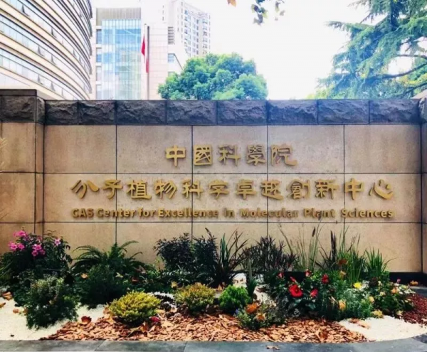 大爆發！今年該研究所發表9篇Cell/Nature/Science，實現重大突破