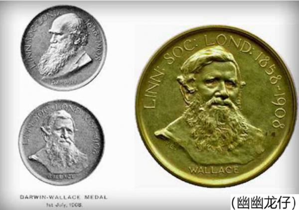 達爾文原來是個要當牧師的“宅男”，輝煌鉅著竟不是他的原創？