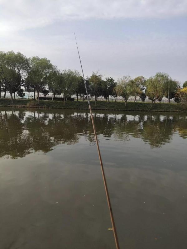 老釣魚人提醒秋冬季釣魚上魚有“窗囗期”,抓住時機上魚不難 老釣魚人提醒秋冬季釣魚上魚有“窗囗期”,抓住時機上魚不難