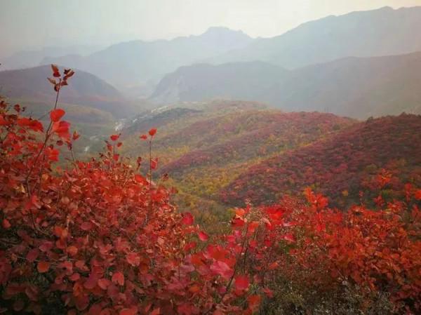 秋季京西這條路，美得如同斑斕的油畫