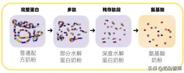 寶寶牛奶蛋白過敏，換水解奶粉，需要轉奶嗎？