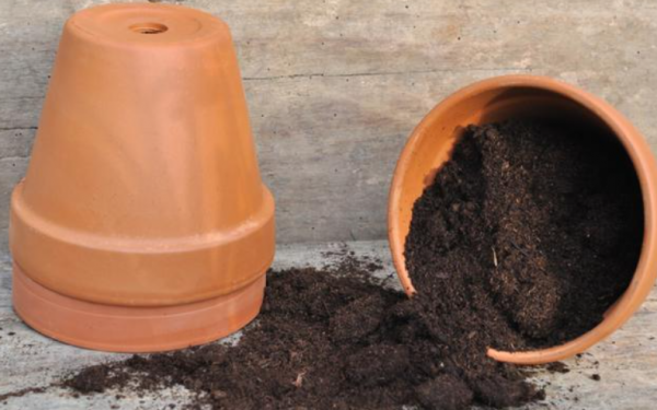 秋季來了,夏天收穫空盆無數,養花舊土不要扔,學會處理還能種花 秋季來了,夏天收穫空盆無數,養花舊土不要扔,學會處理還能種花