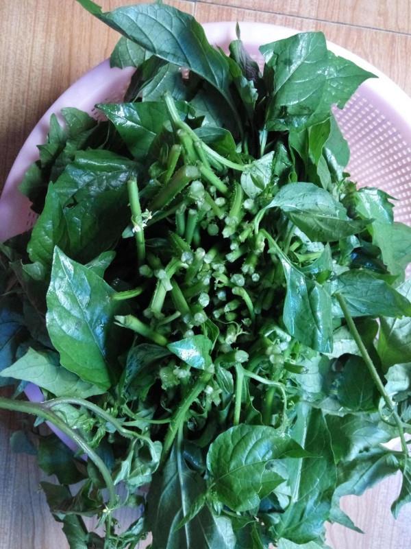 冬日裡的7種“野菜”,以前漫山遍野都是,現在也還是美味佳餚 冬日裡的7種“野菜”,以前漫山遍野都是,現在也還是美味佳餚